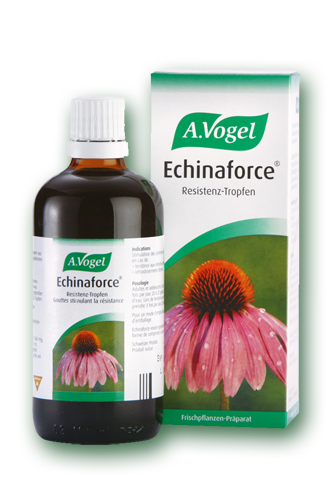 A.Vogel Echinaforce Echinacea Drops 50ml