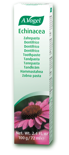 A.Vogel Echinacea για Ουλίτιδα 100ml