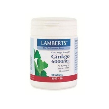 Lamberts Ginkgo Biloba 6000mg 30 ταμπλέτες