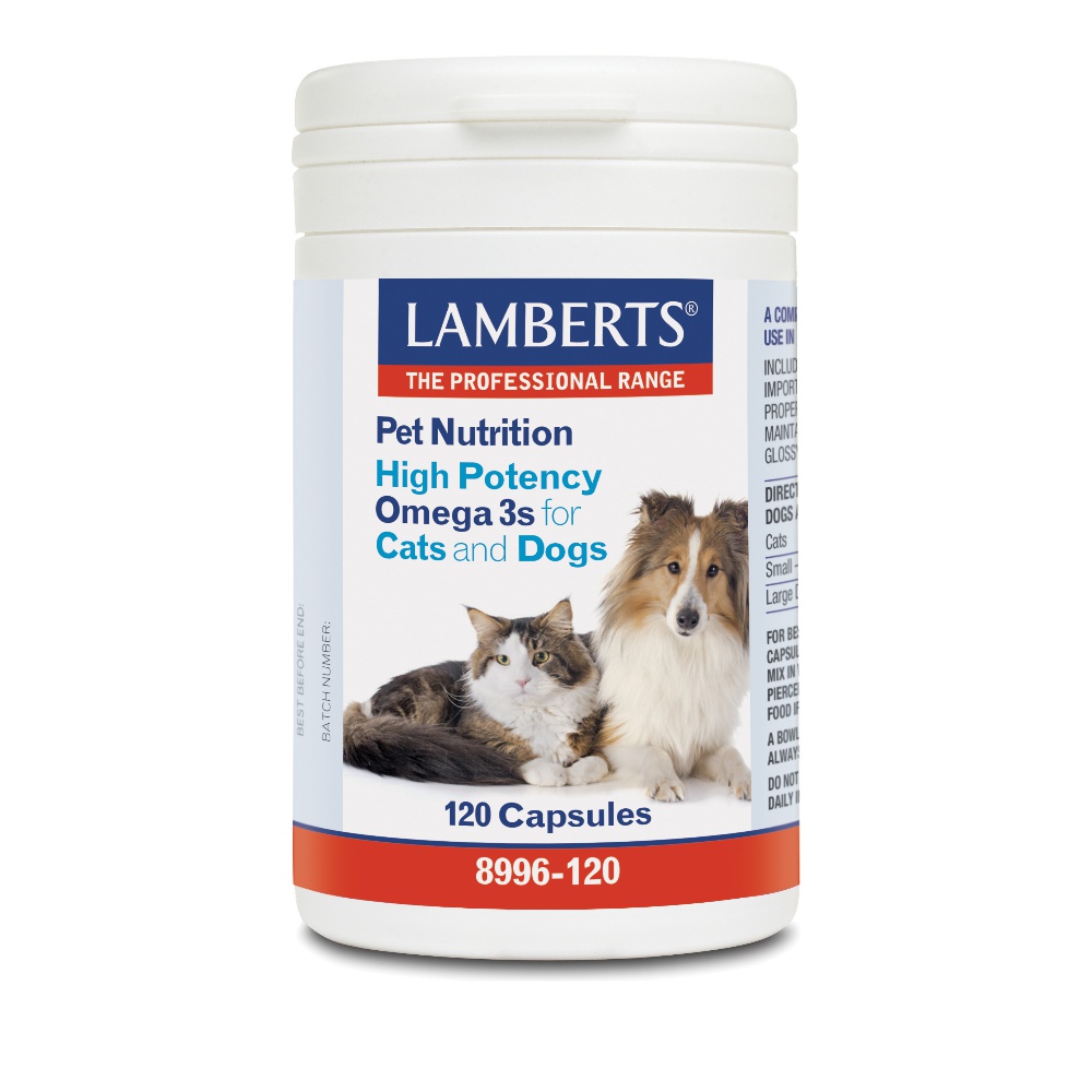 Lamberts Pet Nutrition High Potency Omega 3s for Cats & Dogs Συμπλήρωμα Διατροφής Σκύλου & Γάτας 120caps