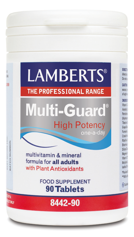 Lamberts Multi-Guard Βιταμίνη 90 ταμπλέτες