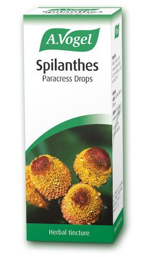 A.Vogel Spilanthes Σταγόνες 50ml